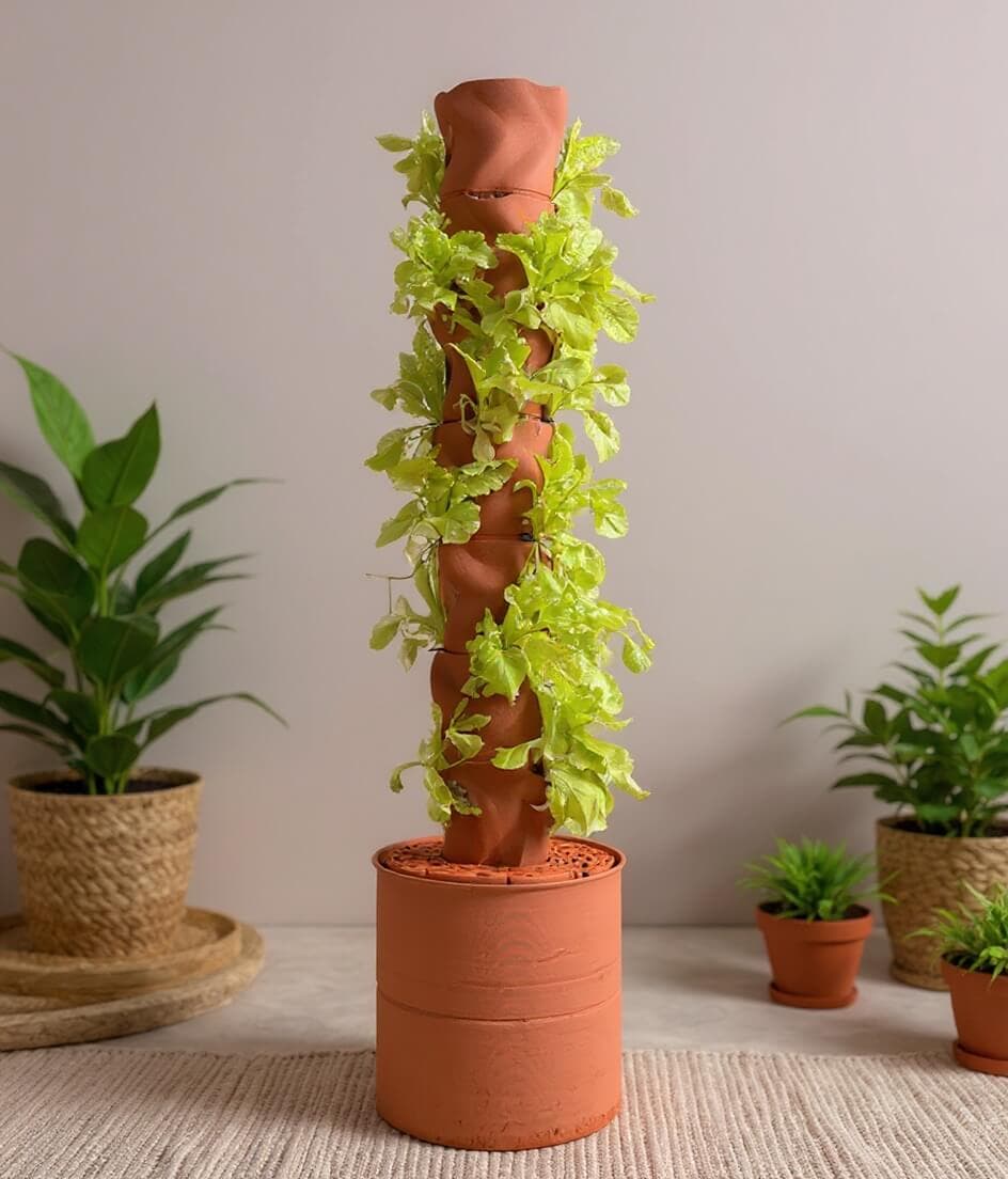 Architecture Studio Living Wall