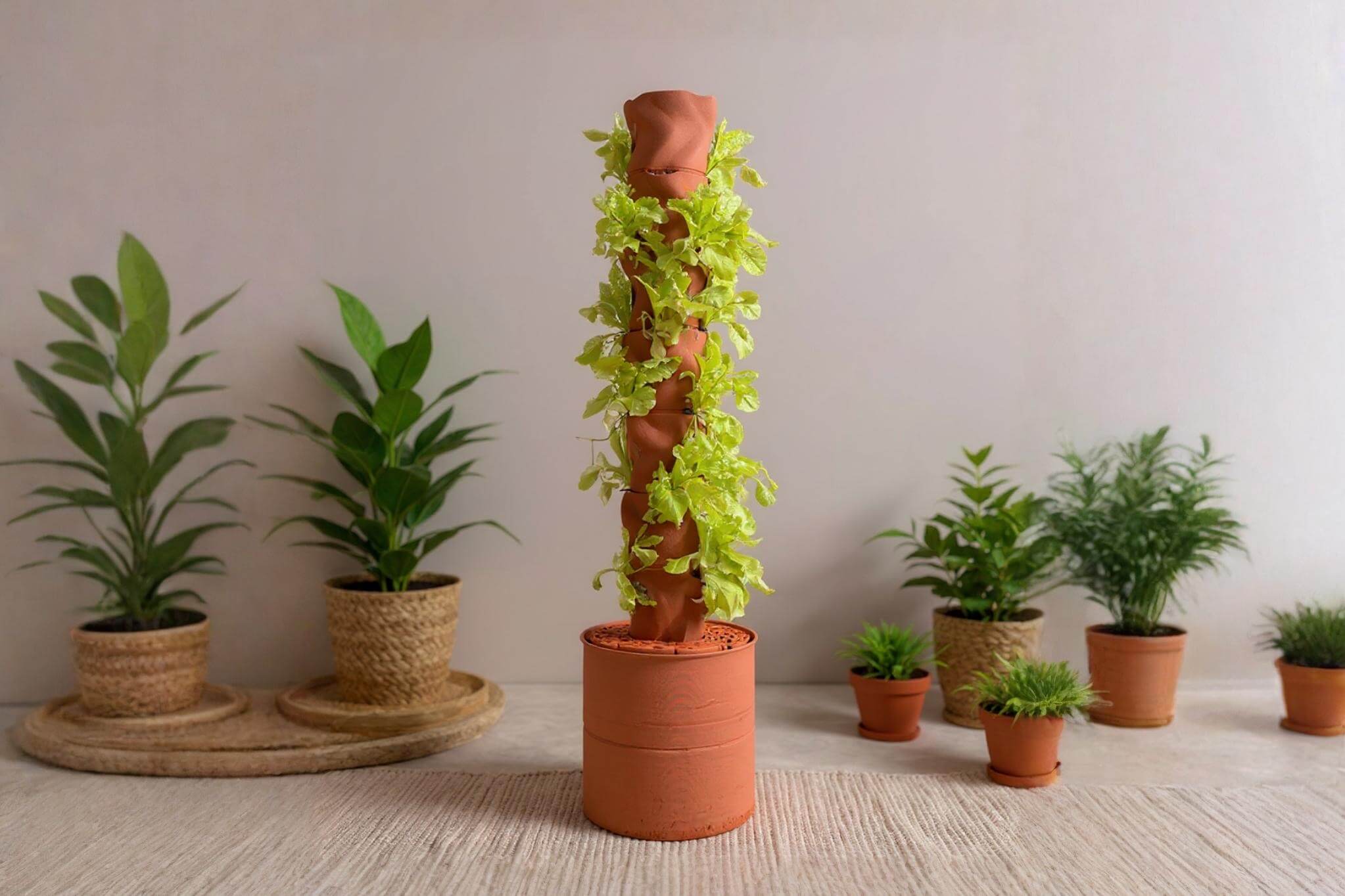 Growing Leafy Greens in ClayPonic Systems